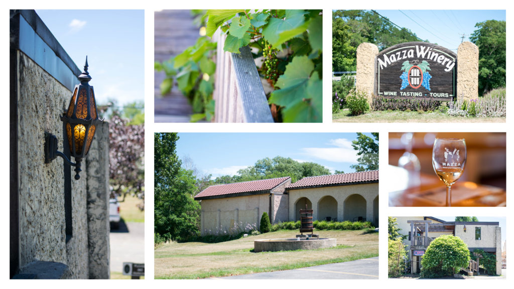 Mazza Winery