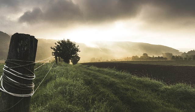 farm field with cloudy day