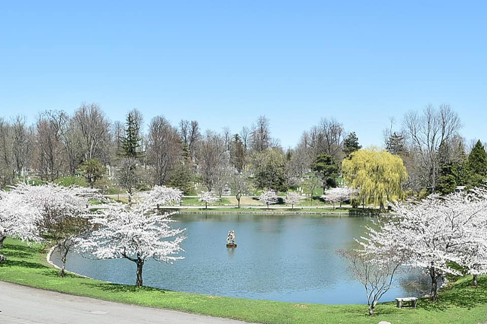 pond in Forest Lawn